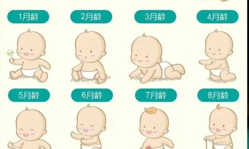 天津格林国际幼儿园学费-干里光的功效与作用网 | 14油耗投多少钱一公里,乙肝患者可以吃茄子吗